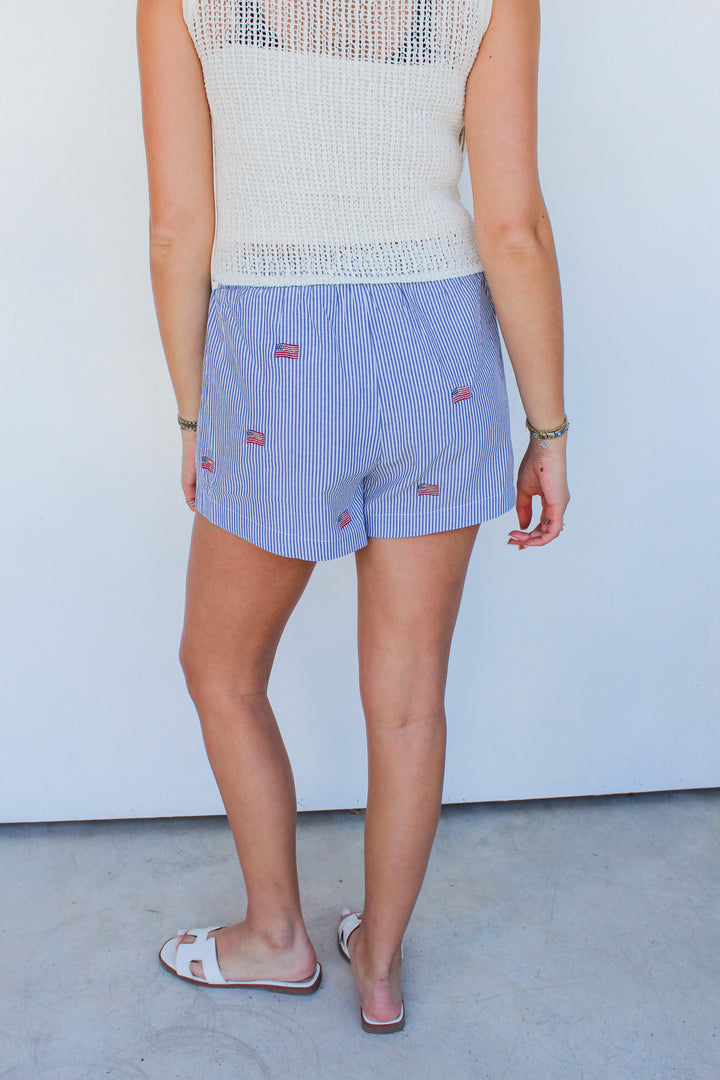 American Flag Embroidered Shorts