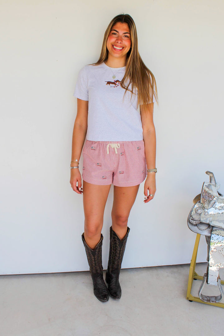 American Striped Shorts in Red