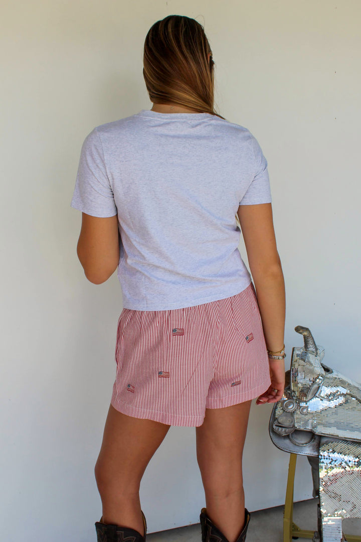 USA Dachshund Tee in Grey