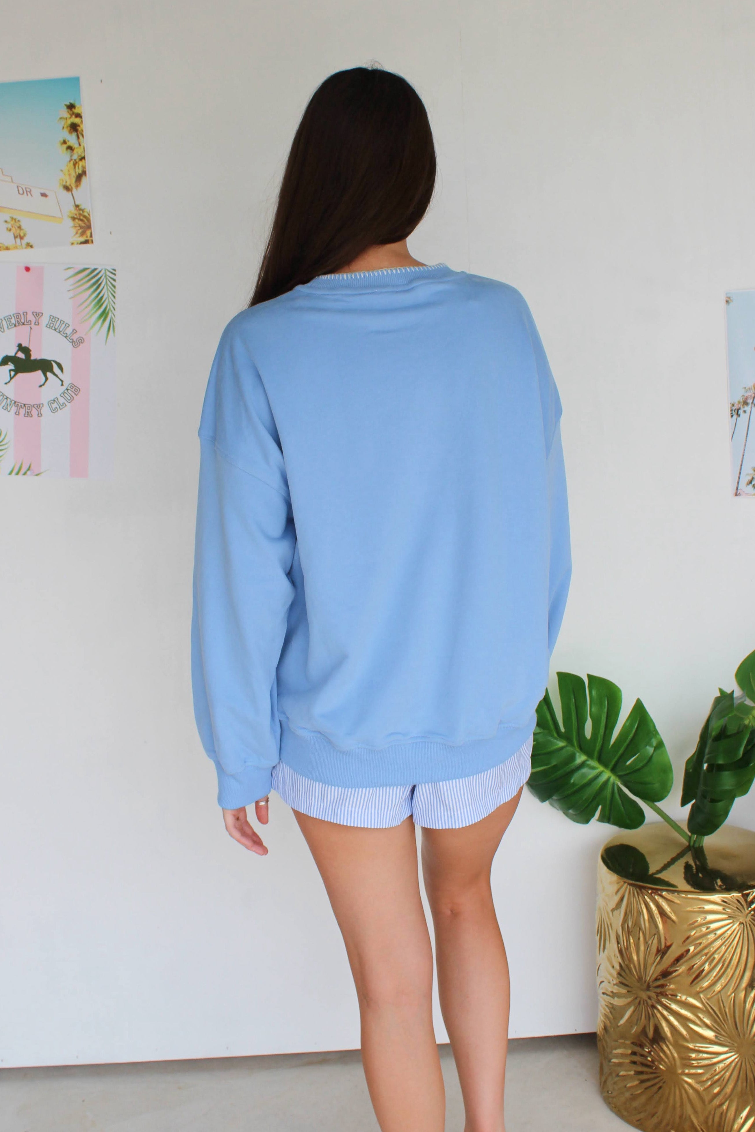 coastal crewneck