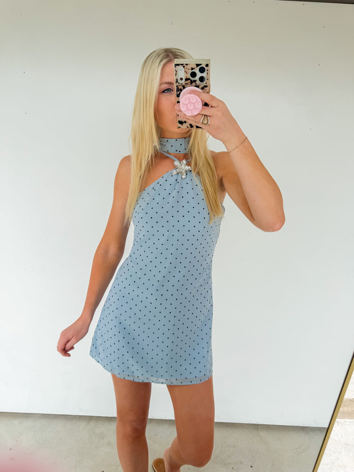 Blue Polka Dot Brooch Dress