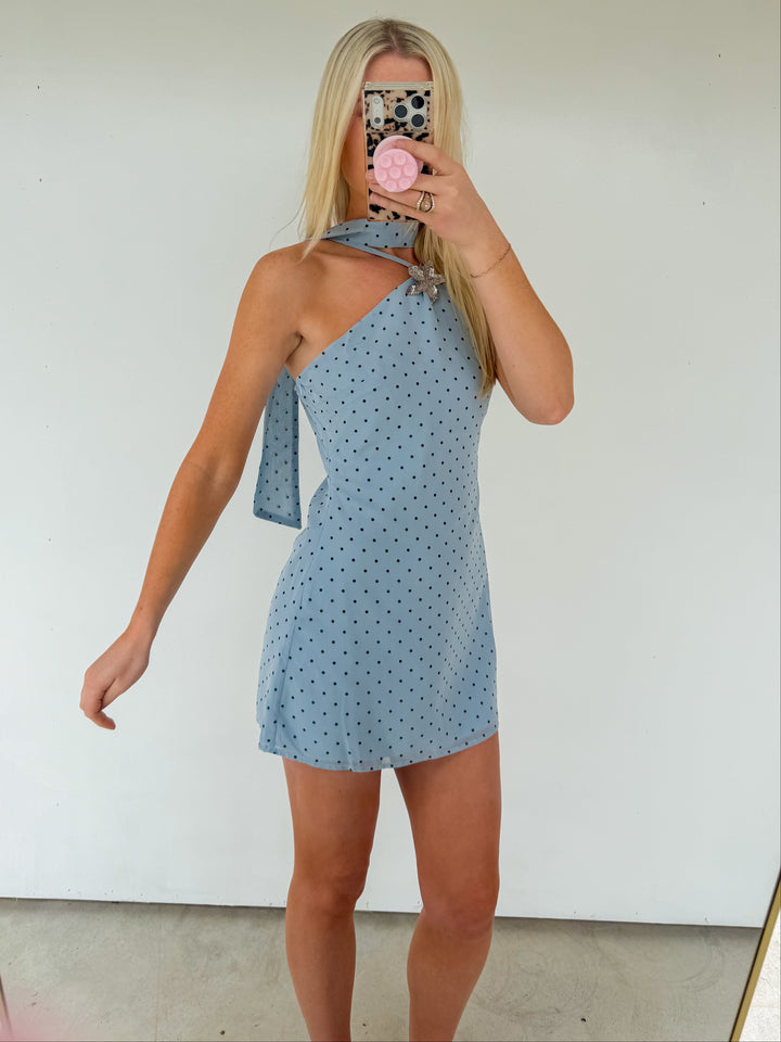 Blue Polka Dot Brooch Dress