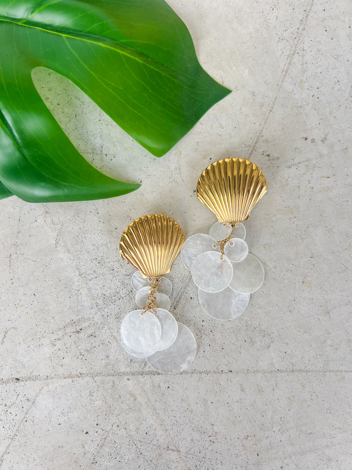 Sea Shell Dangle Earrings